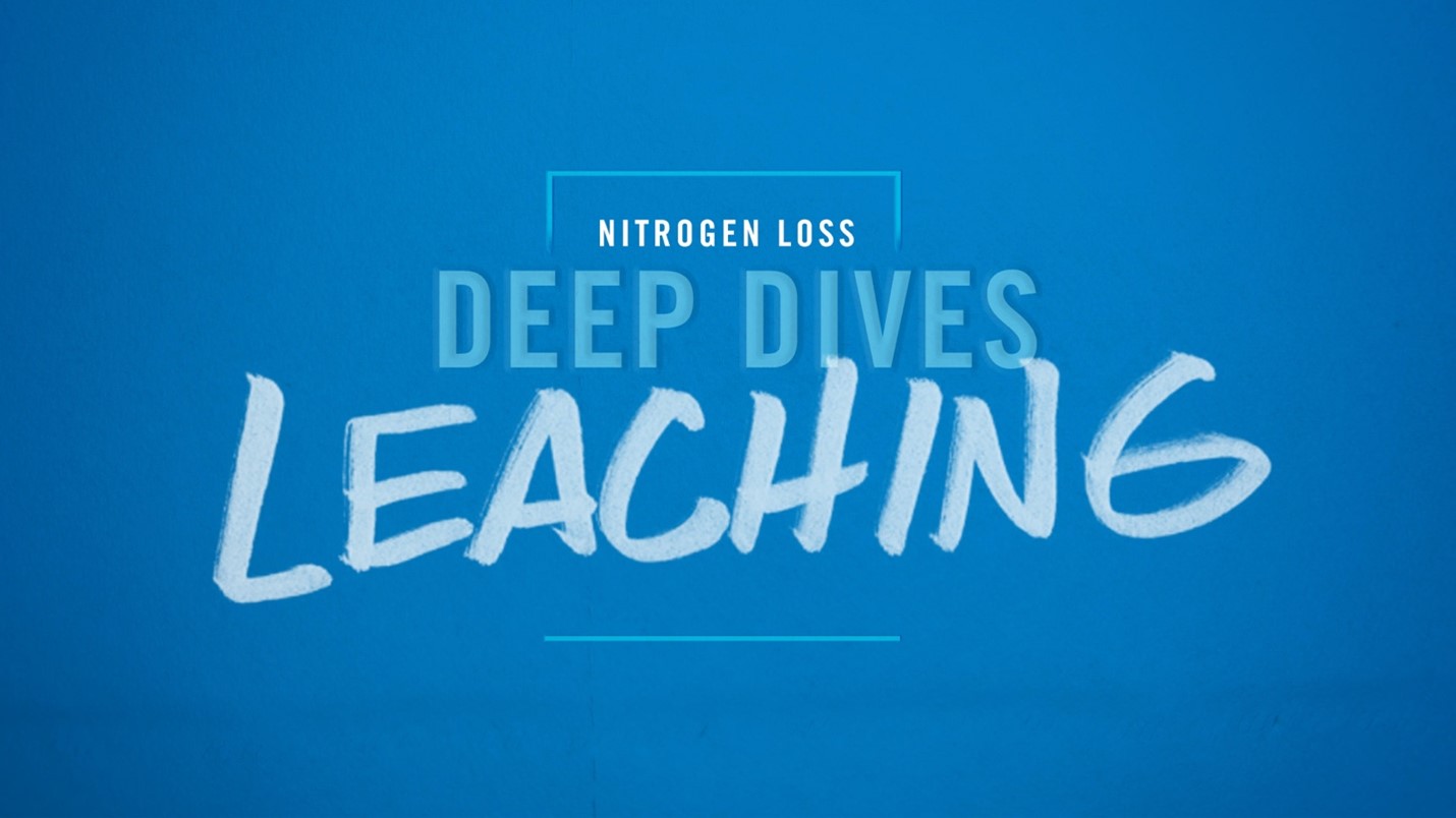 Deep Dive Video on Leaching